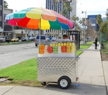 Stainless Steel Food Cart